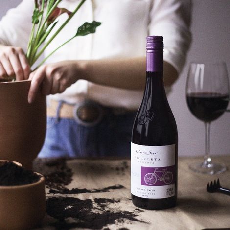 Cono Sur Vineyards & Winery_Wines_Wines