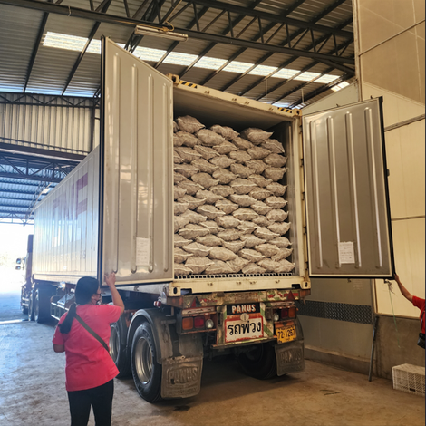 Transporting Process