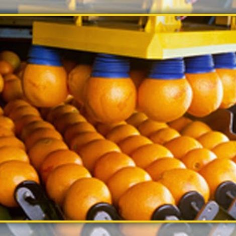 Supreme Kinno Factory