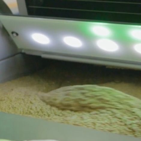 Avocado Oil production process
