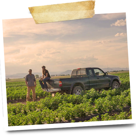 Farmhand Organics, LLC