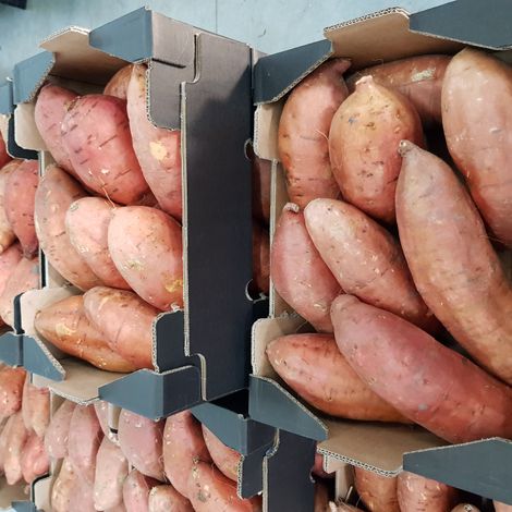 Sweet potatos