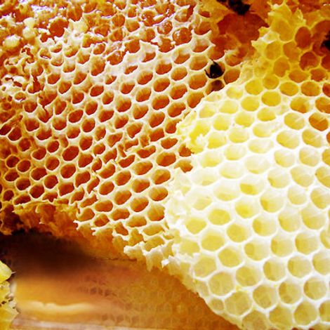 Safqa Organic Honey