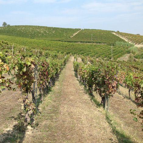 Exceptional Terroir