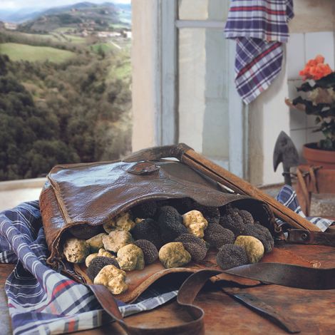 Freshly harvested truffles"