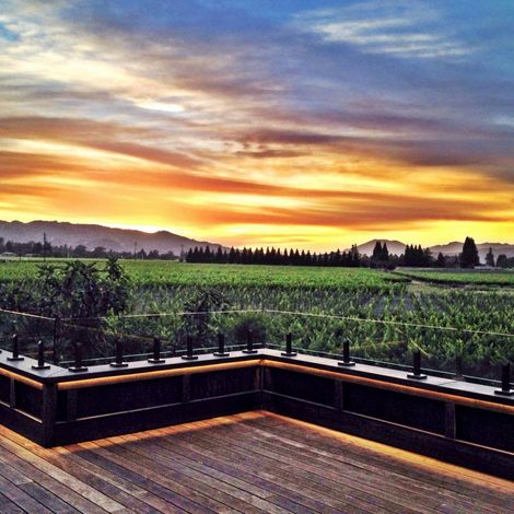 Sullivan Vineyards_Wine_Vineyards