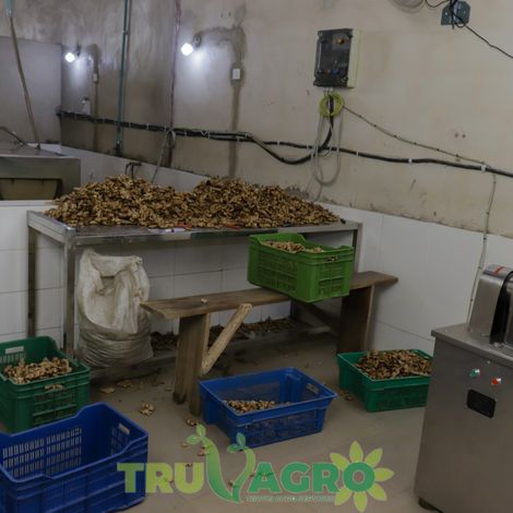 Processing Facility