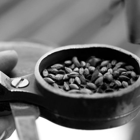 Bairds Malt Limited