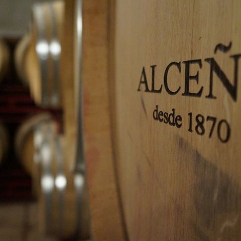 Bodegas Alceño