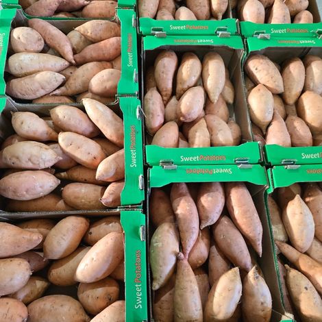 High-Quality Sweet Potatoes from Egypt — Fresh, Nutritious & Flavorful