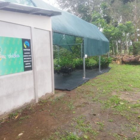 Coopepiña R.L. Costa Rica