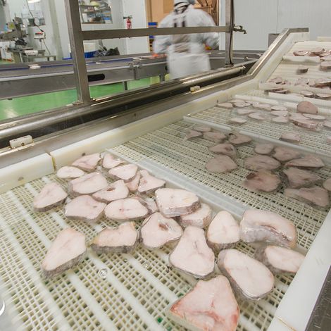 Lopez Freire SA - Production Area