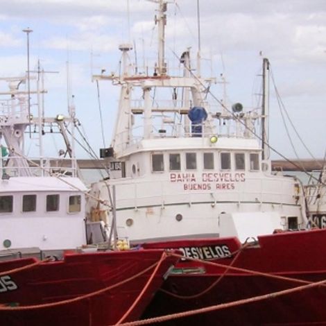 Wild Oceans Pty Ltd