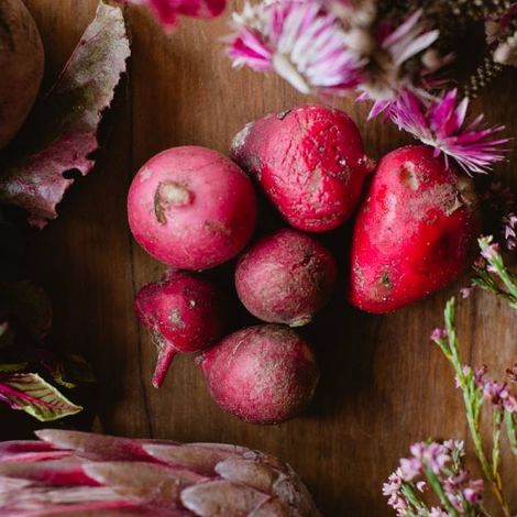 Nature's Garden - Products