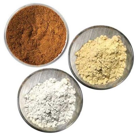 Lean Fructose Processing Company