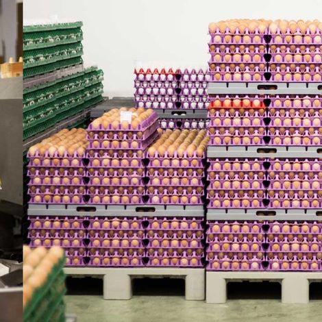 Betrieb_Bildpaar_6.jpg