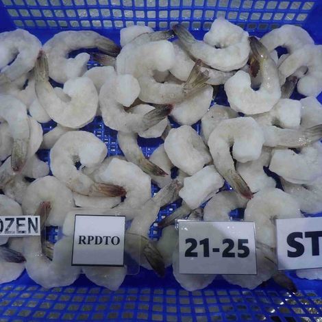 [PT. Indu Manis]_[Frozen Raw Vannamei]_[RPTO Size 21-25]