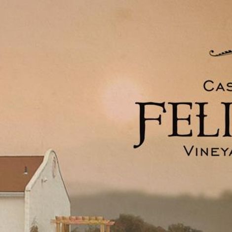 Castillo de Feliciana Vineyard and Winery