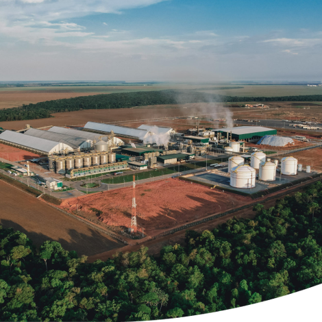 FS Bioenergia