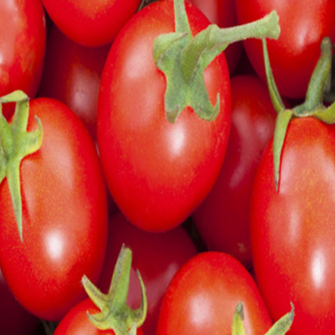 Roshan Fruits India Private Limited