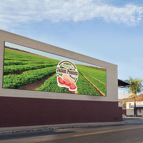 Jazam Peanuts