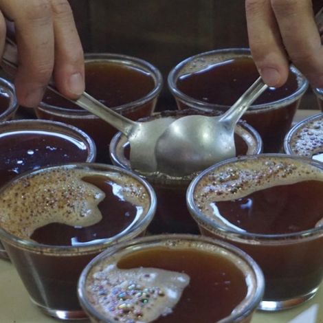 Nicchio Café S/A Exportação e Importação
