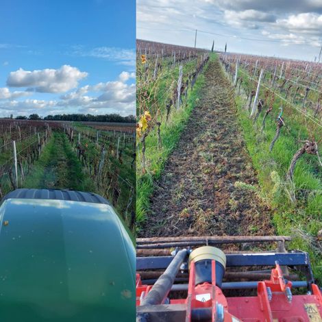 Château Bois De Cadet_Wine_Harvest