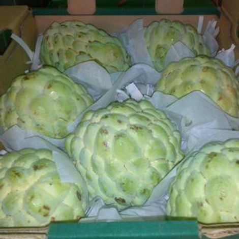 First Harvest Trading Limited
