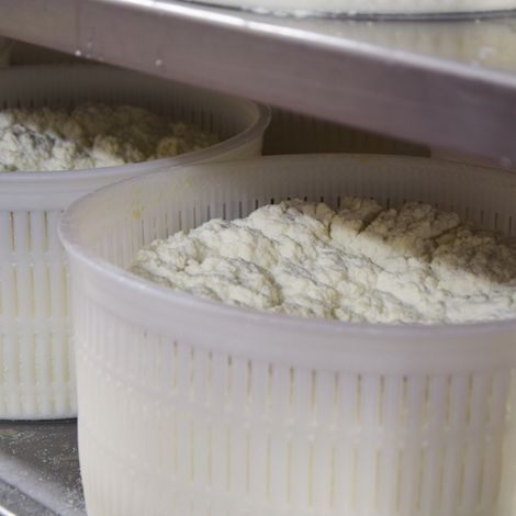 Latterie Venete S.p.A. - Processed Product