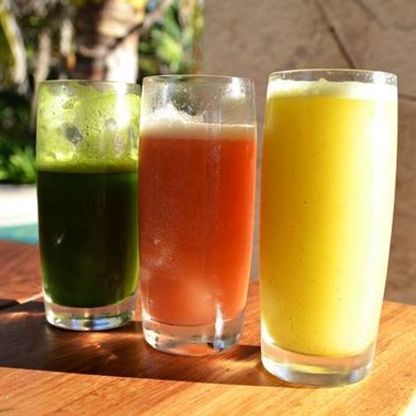 ASYA FRUIT JUICE AND FOOD IND. INC