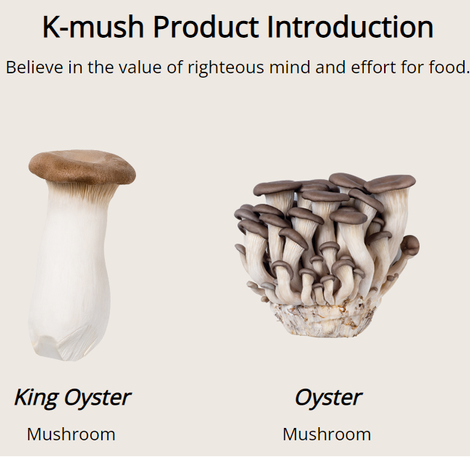 K-mush Product Introduction.png