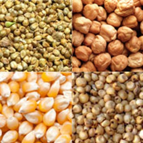 ASIAN FOODS INDUSTRIES