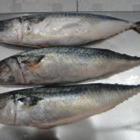 Dandong Taihua Foodstuff Co.,Ltd.