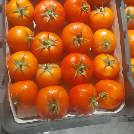 Vegetables