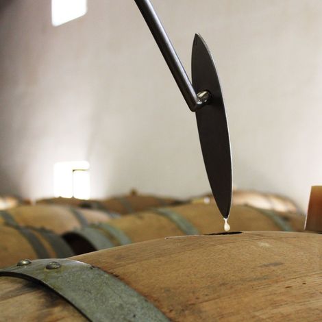 Château Guiraud_Wine_Process1