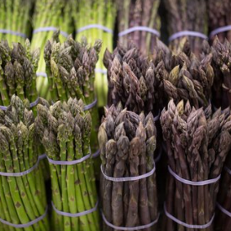 North Bay Produce, Inc.