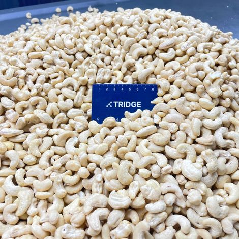 Tridge_VN_Cashew Nut Kernel