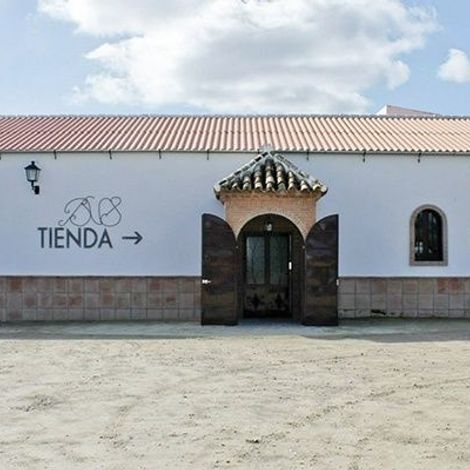 Bodega Nino de la Salina