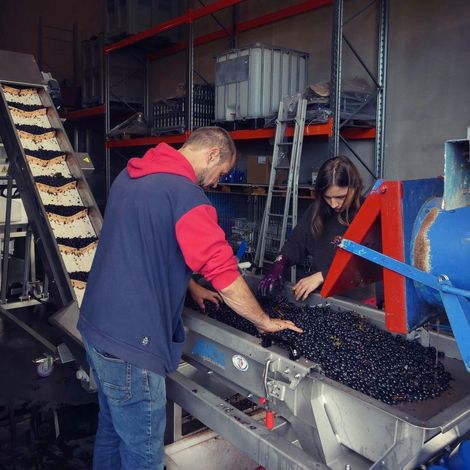 Wine Making