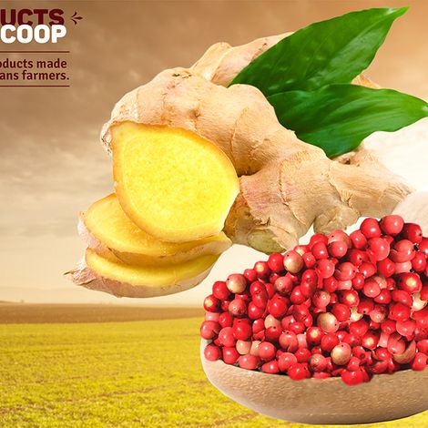 AGROCOOP - Espírito Santo Agroindustrial Cooperative