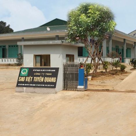 Sao Viet Tuyen Quang Co., Ltd. - Factory
