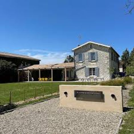 Château Magdeleine Bouhou vinyard 1.jpg