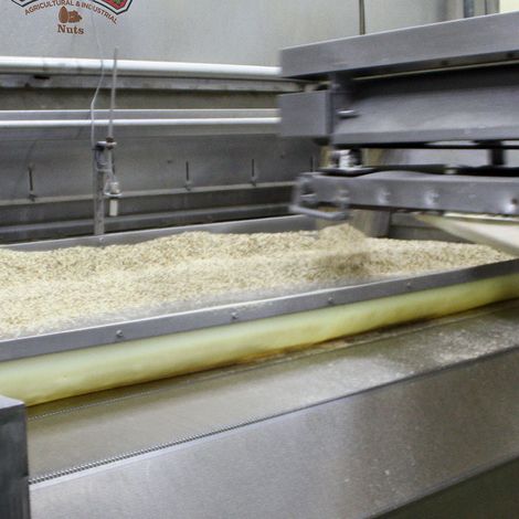 Borge Agricultural & Industrial Nuts SA - Processing Area