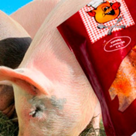 Productos-carnicos-congelados-y-refrigerados-Jamones-y-embutidos-blanco-e-iberico.jpg