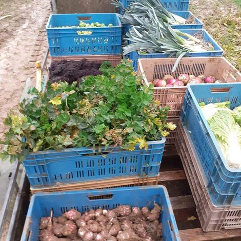 L'ENCLOS PILLOT - Products