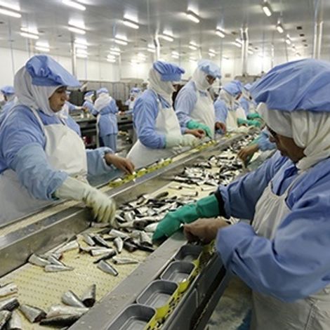 AVEIRO-MAROC - Facility