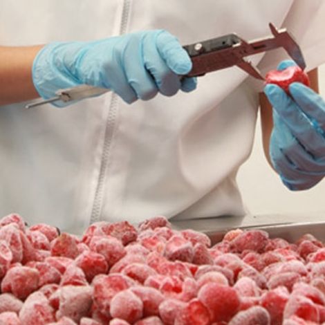 Patagonia Foods - Facility