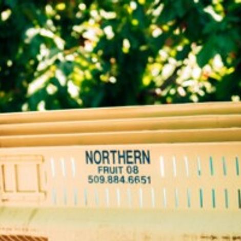 Northern Fruit Company Packed Boxes