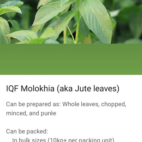 frozen molokhia