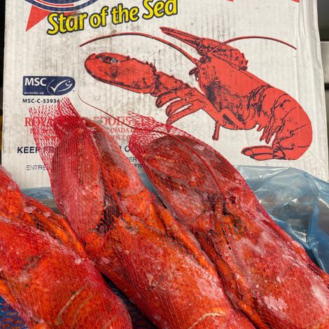 Thompsons Seafood Limited - Products